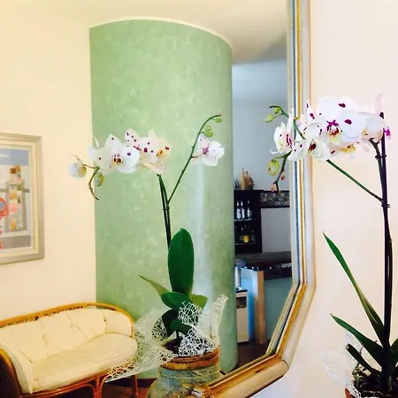 Aniana Hotel 3*