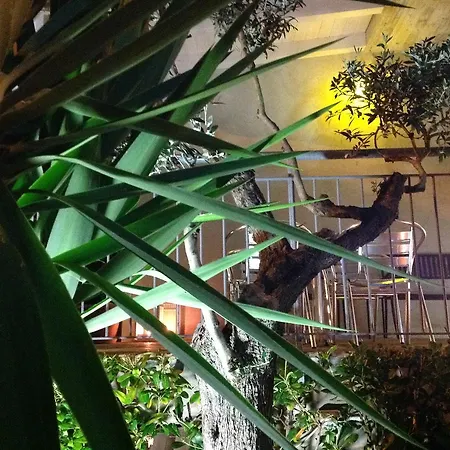 Aniana - Hotel, Relax, 3* Massignano