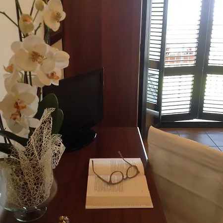 Aniana - Hotel, Relax, 3* Massignano